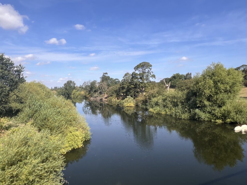 local forage along the river